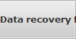 Data recovery for Gastonia data